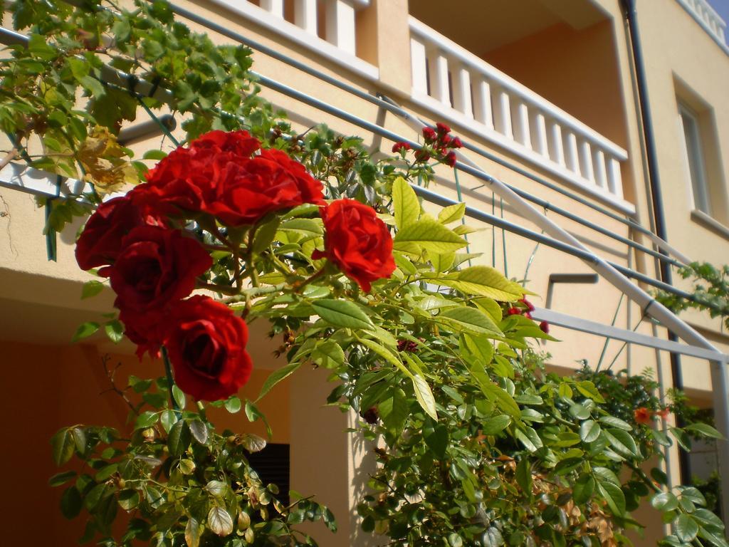 Apartments Tare, Free Parking Vodice Oda fotoğraf